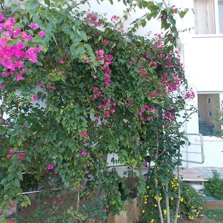 Apartment 2+1 комплекс My Marine махмутлар, турция *